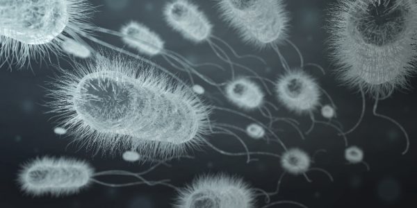 Curso Prevención y control de las infecciones asociadas a la atención de salud (IAAS)